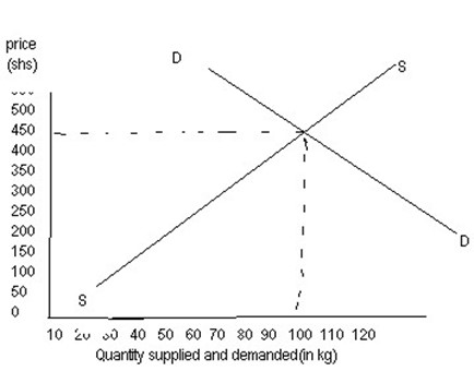 Image From EcoleBooks.com