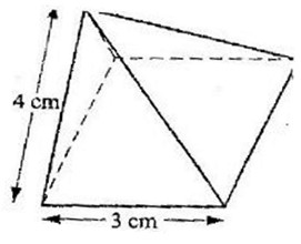 Image From EcoleBooks.com
