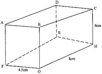 Net of solid