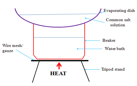 Image From EcoleBooks.com