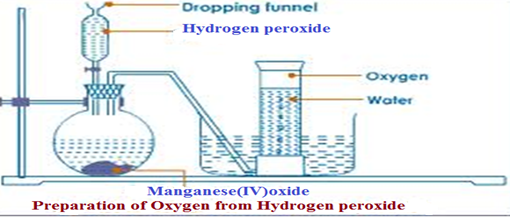 Image From EcoleBooks.com