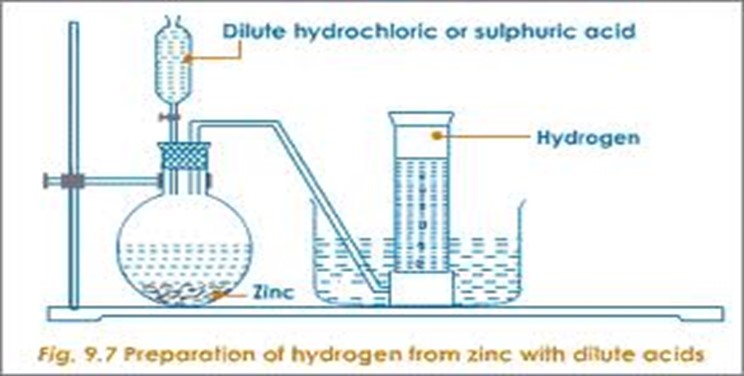 Image From EcoleBooks.com
