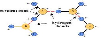 Image From EcoleBooks.com