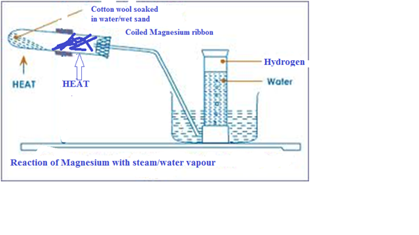 Image From EcoleBooks.com
