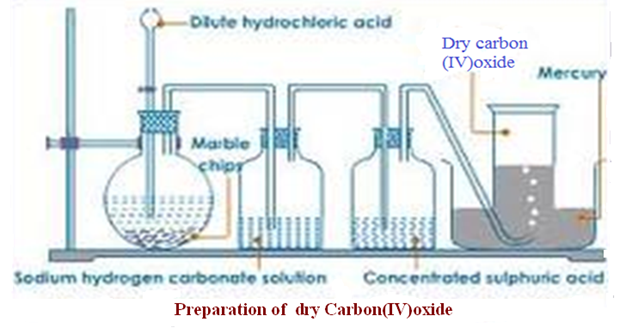 Image From EcoleBooks.com