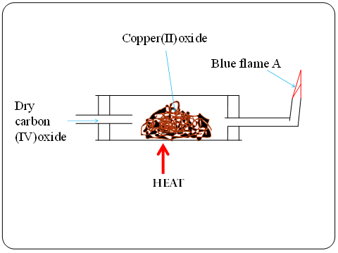 Image From EcoleBooks.com