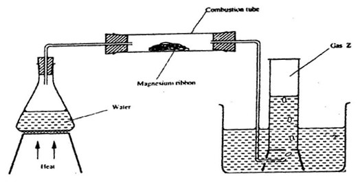 Image From EcoleBooks.com