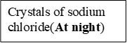 Image From EcoleBooks.com