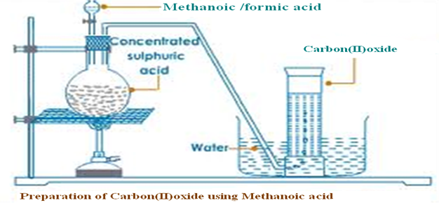 Image From EcoleBooks.com