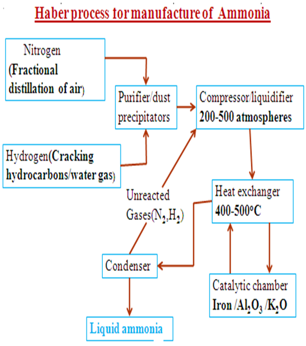 Image From EcoleBooks.com