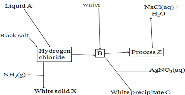 Image From EcoleBooks.com