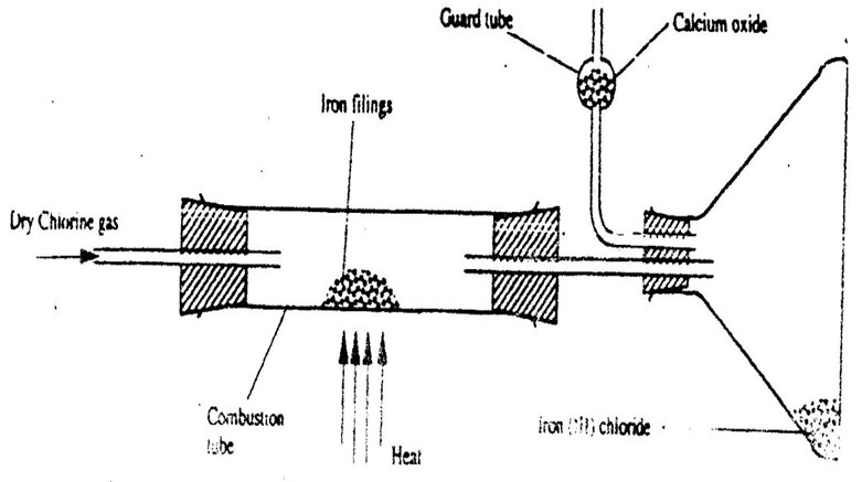 Image From EcoleBooks.com