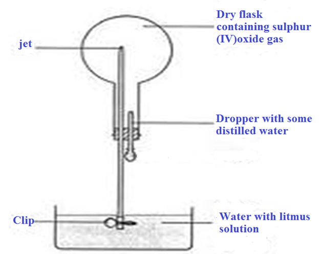 Image From EcoleBooks.com