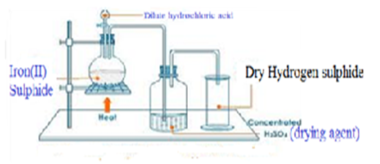 Image From EcoleBooks.com