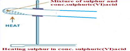 Image From EcoleBooks.com