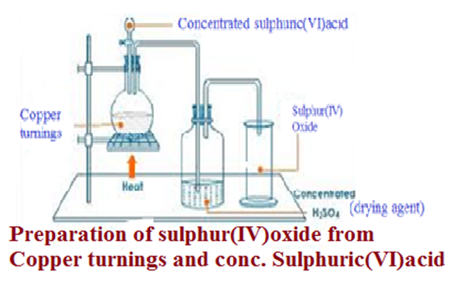Image From EcoleBooks.com