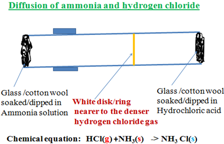 Image From EcoleBooks.com