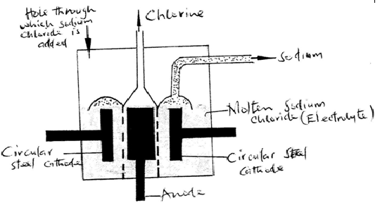 Image From EcoleBooks.com