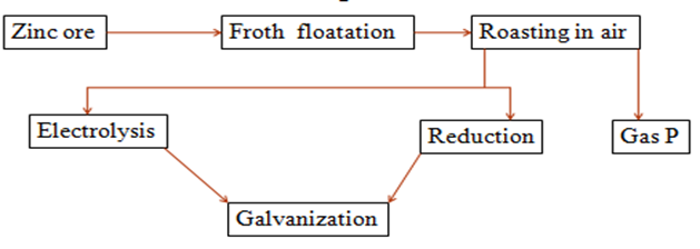 Image From EcoleBooks.com