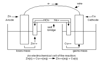 Image From EcoleBooks.com