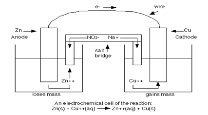 Image From EcoleBooks.com