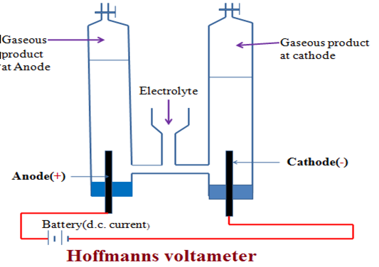 Image From EcoleBooks.com
