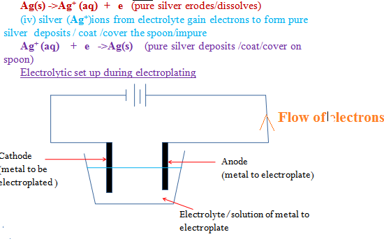 Image From EcoleBooks.com