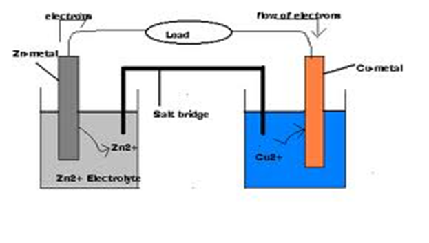Image From EcoleBooks.com