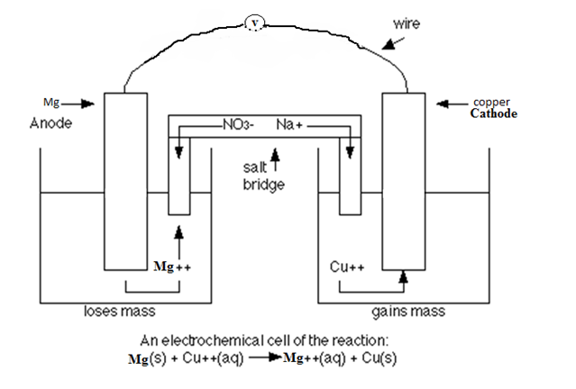 Image From EcoleBooks.com
