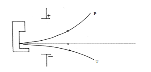 Image From EcoleBooks.com