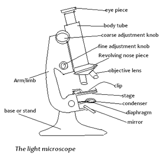 Image From EcoleBooks.com