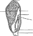 Image From EcoleBooks.com
