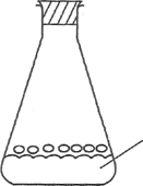 Image From EcoleBooks.com