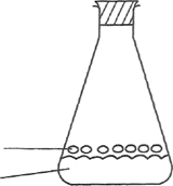 Image From EcoleBooks.com