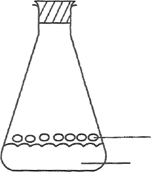 Image From EcoleBooks.com