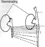 Image From EcoleBooks.com