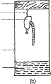 Image From EcoleBooks.com