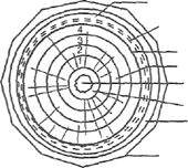 Image From EcoleBooks.com