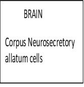 Image From EcoleBooks.com