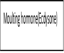 Image From EcoleBooks.com