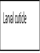 Image From EcoleBooks.com