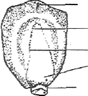 Image From EcoleBooks.com