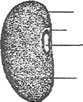 Image From EcoleBooks.com