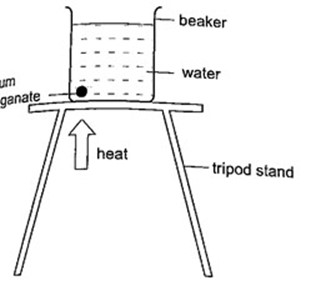Image From EcoleBooks.com