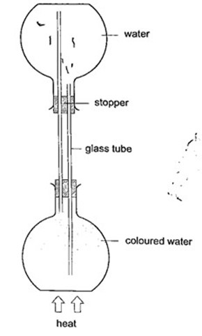 Image From EcoleBooks.com