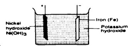 Image From EcoleBooks.com