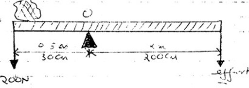 Image From EcoleBooks.com