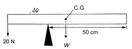 Image From EcoleBooks.com