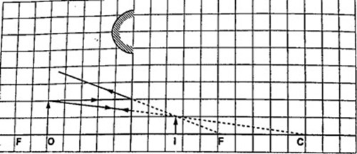 Image From EcoleBooks.com