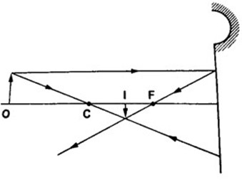 Image From EcoleBooks.com